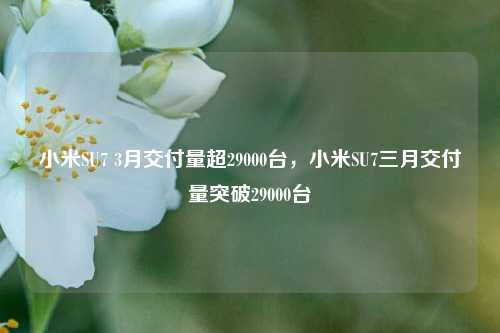 小米SU7 3月交付量超29000台，小米SU7三月交付量突破29000台