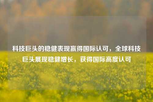 科技巨头的稳健表现赢得国际认可，全球科技巨头展现稳健增长，获得国际高度认可