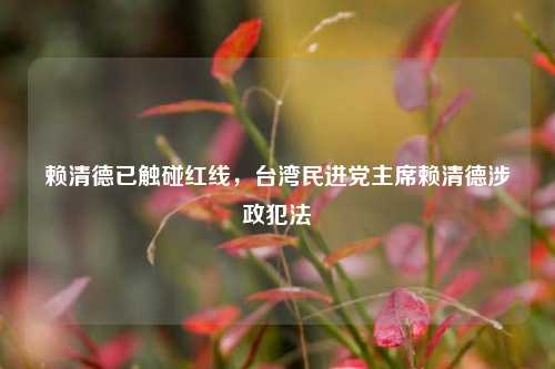赖清德已触碰红线，台湾民进党主席赖清德涉政犯法