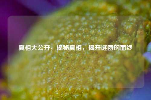 真相大公开，揭秘真相，揭开谜团的面纱