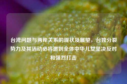 台湾问题与两岸关系的现状及展望，台独分裂势力及其活动必将遭到全体中华儿女坚决反对和强烈打击