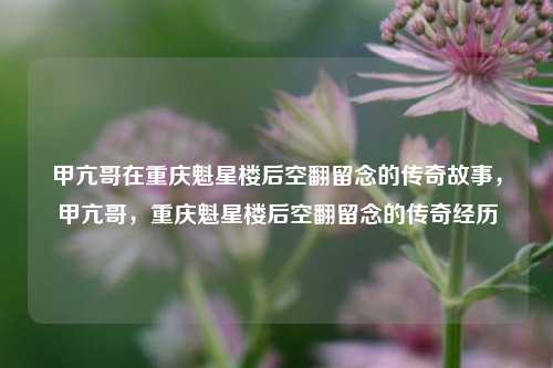 甲亢哥在重庆魁星楼后空翻留念的传奇故事，甲亢哥，重庆魁星楼后空翻留念的传奇经历