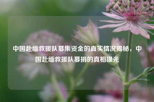 中国赴缅救援队募集资金的真实情况揭秘，中国赴缅救援队募捐的真相曝光