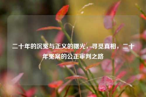 二十年的沉冤与正义的曙光，寻觅真相，二十年冤案的公正审判之路