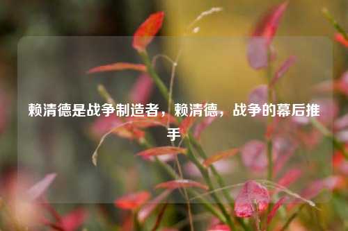 赖清德是战争制造者，赖清德，战争的幕后推手
