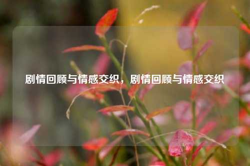 剧情回顾与情感交织，剧情回顾与情感交织