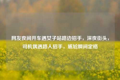 网友夜间开车遇女子站路边招手，深夜街头，司机偶遇路人招手，尴尬瞬间定格