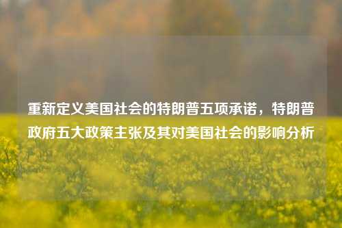 重新定义美国社会的特朗普五项承诺，特朗普政府五大政策主张及其对美国社会的影响分析