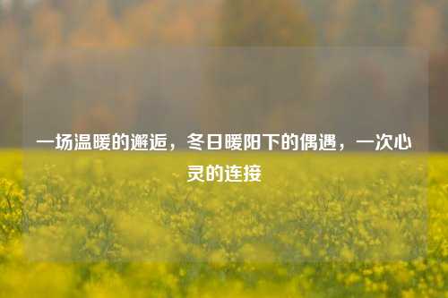 一场温暖的邂逅，冬日暖阳下的偶遇，一次心灵的连接