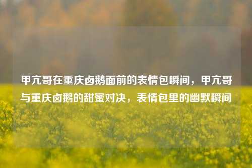 甲亢哥在重庆卤鹅面前的表情包瞬间，甲亢哥与重庆卤鹅的甜蜜对决，表情包里的幽默瞬间