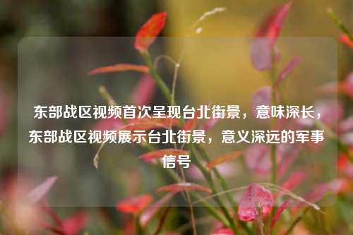 东部战区视频首次呈现台北街景，意味深长，东部战区视频展示台北街景，意义深远的军事信号