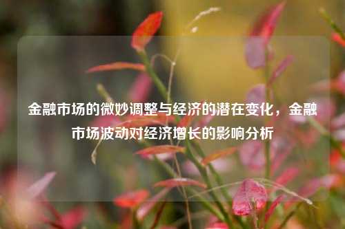 金融市场的微妙调整与经济的潜在变化，金融市场波动对经济增长的影响分析