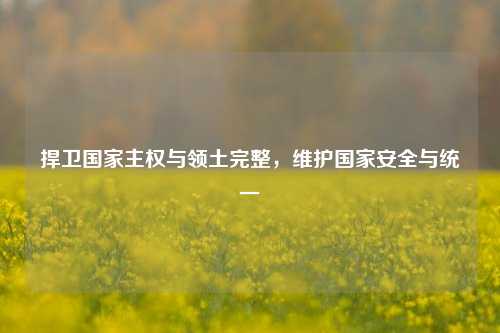 捍卫国家主权与领土完整，维护国家安全与统一