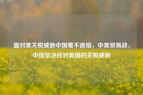 面对美关税威胁中国毫不退缩，中美贸易战，中国坚决应对美国的关税威胁