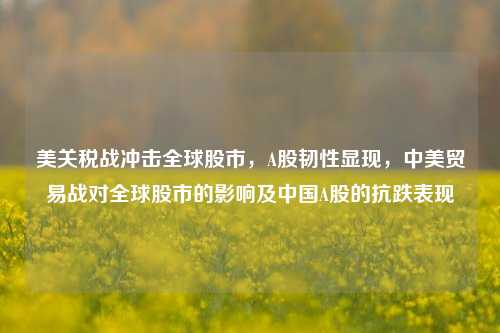 美关税战冲击全球股市，A股韧性显现，中美贸易战对全球股市的影响及中国A股的抗跌表现