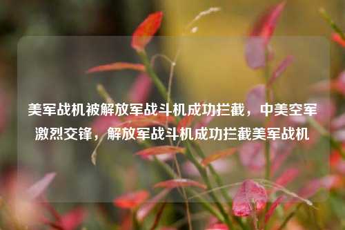 美军战机被解放军战斗机成功拦截，中美空军激烈交锋，解放军战斗机成功拦截美军战机
