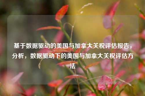 基于数据驱动的美国与加拿大关税评估报告，分析，数据驱动下的美国与加拿大关税评估方法
