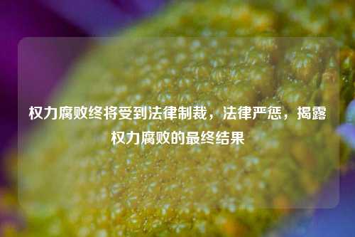 权力腐败终将受到法律制裁，法律严惩，揭露权力腐败的最终结果