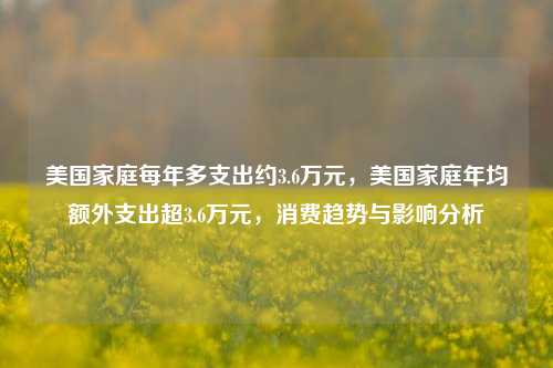 美国家庭每年多支出约3.6万元，美国家庭年均额外支出超3.6万元，消费趋势与影响分析