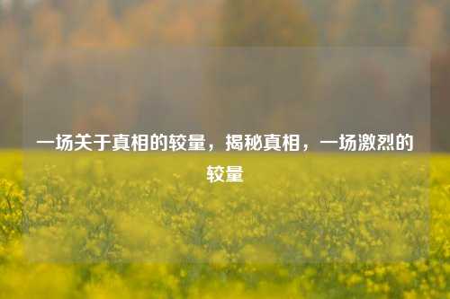 一场关于真相的较量，揭秘真相，一场激烈的较量