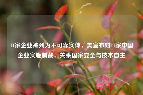 11家企业被列为不可靠实体，美宣布对11家中国企业实施制裁，关系国家安全与技术自主