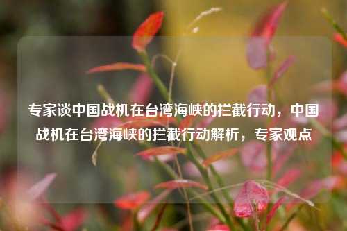 专家谈中国战机在台湾海峡的拦截行动，中国战机在台湾海峡的拦截行动解析，专家观点