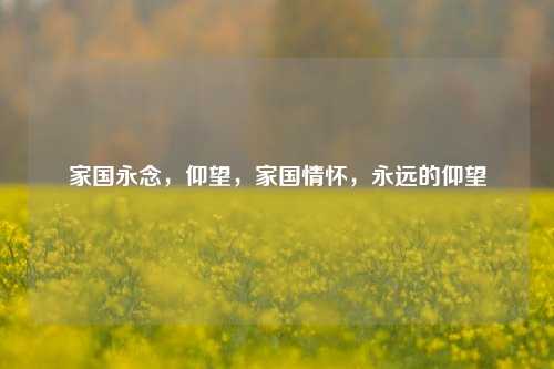 家国永念，仰望，家国情怀，永远的仰望