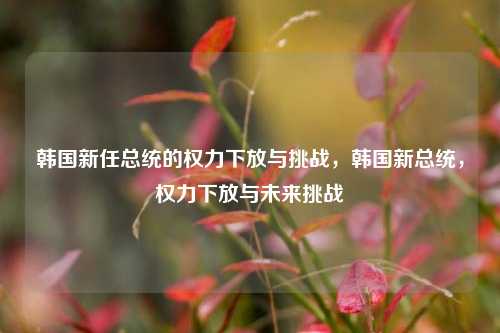 韩国新任总统的权力下放与挑战，韩国新总统，权力下放与未来挑战