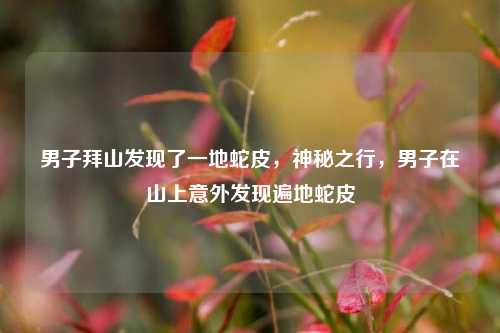 男子拜山发现了一地蛇皮，神秘之行，男子在山上意外发现遍地蛇皮