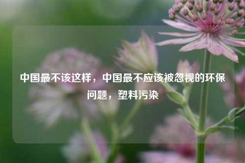 中国最不该这样，中国最不应该被忽视的环保问题，塑料污染