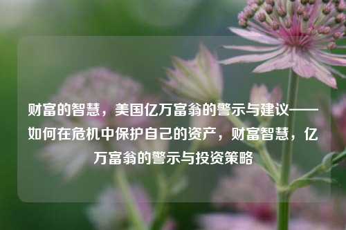 财富的智慧，美国亿万富翁的警示与建议——如何在危机中保护自己的资产，财富智慧，亿万富翁的警示与投资策略