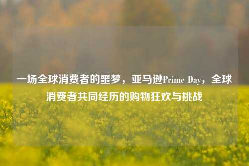 一场全球消费者的噩梦，亚马逊Prime Day，全球消费者共同经历的购物狂欢与挑战