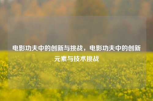 电影功夫中的创新与挑战，电影功夫中的创新元素与技术挑战