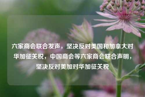 六家商会联合发声，坚决反对美国和加拿大对华加征关税，中国商会等六家商会联合声明，坚决反对美加对华加征关税