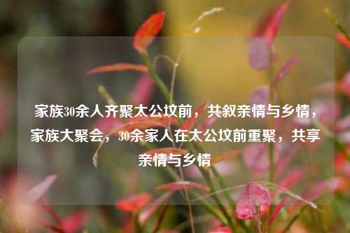 家族30余人齐聚太公坟前，共叙亲情与乡情，家族大聚会，30余家人在太公坟前重聚，共享亲情与乡情
