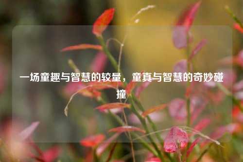 一场童趣与智慧的较量，童真与智慧的奇妙碰撞