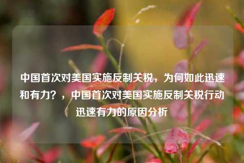 中国首次对美国实施反制关税，为何如此迅速和有力？，中国首次对美国实施反制关税行动迅速有力的原因分析