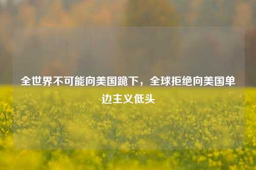 全世界不可能向美国跪下，全球拒绝向美国单边主义低头