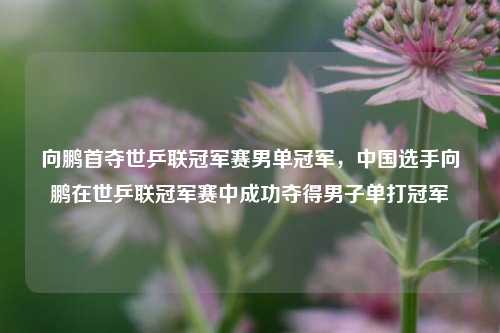 向鹏首夺世乒联冠军赛男单冠军，中国选手向鹏在世乒联冠军赛中成功夺得男子单打冠军