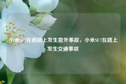 小米SU7在道路上发生意外事故，小米SU7在路上发生交通事故