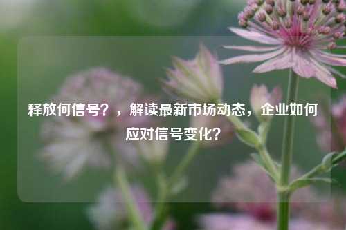 释放何信号？，解读最新市场动态，企业如何应对信号变化？