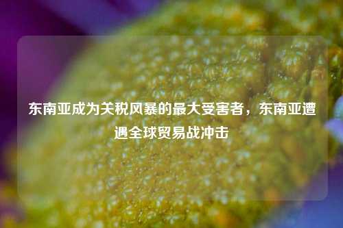东南亚成为关税风暴的最大受害者，东南亚遭遇全球贸易战冲击