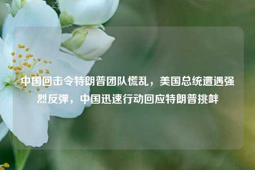 中国回击令特朗普团队慌乱，美国总统遭遇强烈反弹，中国迅速行动回应特朗普挑衅