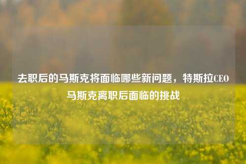 去职后的马斯克将面临哪些新问题，特斯拉CEO马斯克离职后面临的挑战