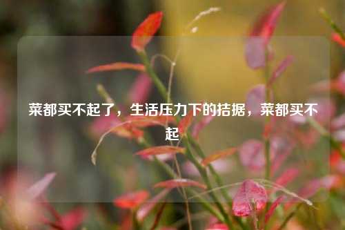 菜都买不起了，生活压力下的拮据，菜都买不起