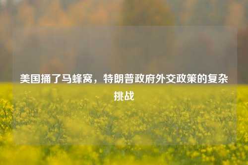 美国捅了马蜂窝，特朗普政府外交政策的复杂挑战