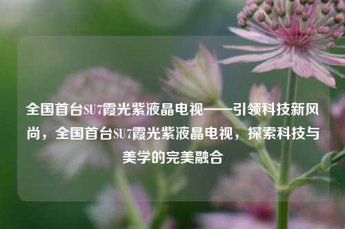 全国首台SU7霞光紫液晶电视——引领科技新风尚，全国首台SU7霞光紫液晶电视，探索科技与美学的完美融合
