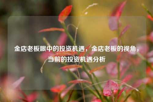 金店老板眼中的投资机遇，金店老板的视角，当前的投资机遇分析