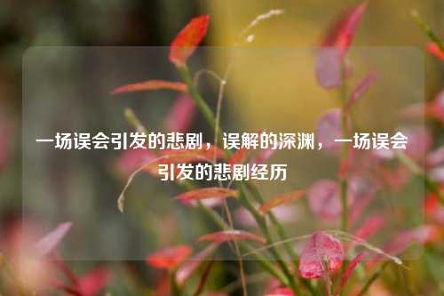 一场误会引发的悲剧，误解的深渊，一场误会引发的悲剧经历