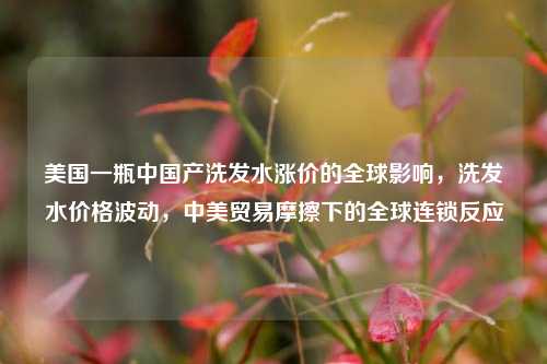 美国一瓶中国产洗发水涨价的全球影响，洗发水价格波动，中美贸易摩擦下的全球连锁反应